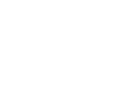 rogo-icon